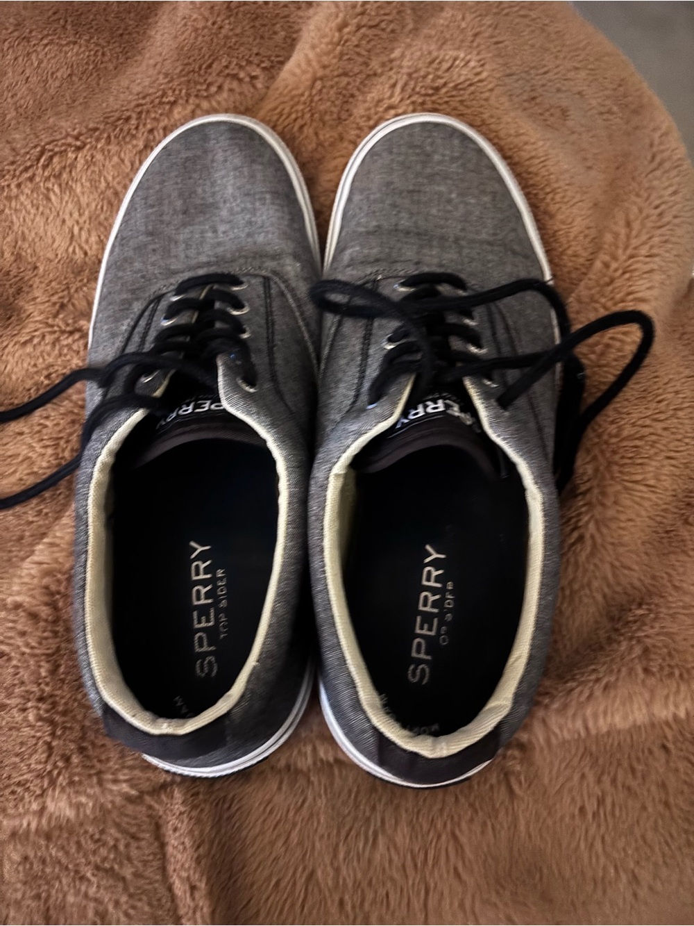 Sperry Men's Gray Canvas Boat Sneakers with Black Laces. 11.5.